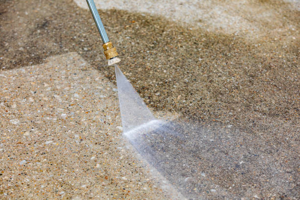 Best Roof Washing  in Citronelle, AL